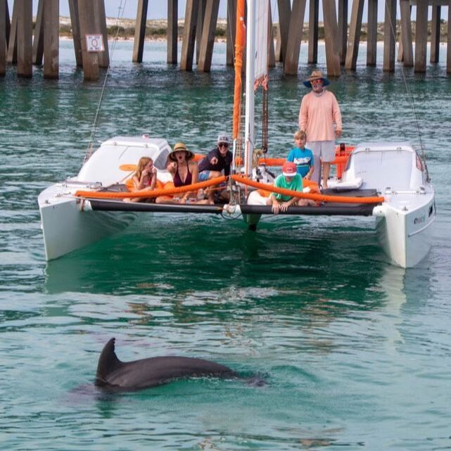 dolphin cruise in destin fl