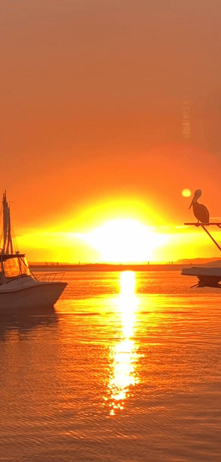sunset sailing destin fl